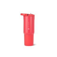 Fruit Punch