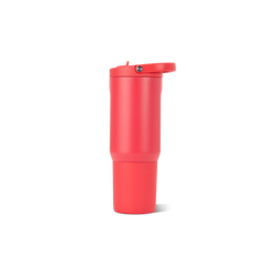 Fruit Punch